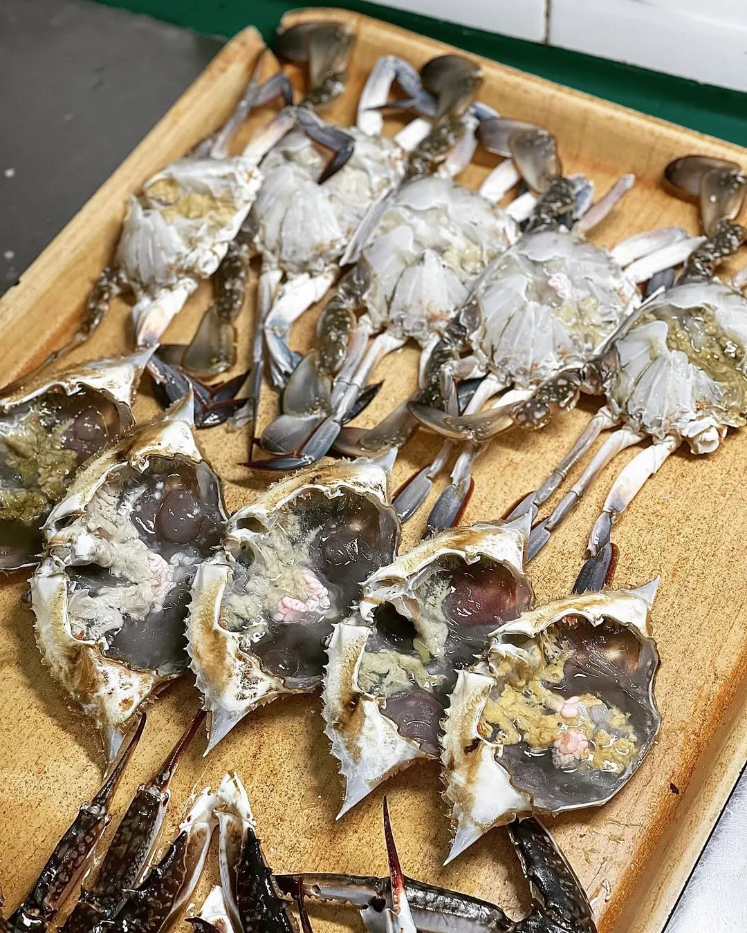알과 내장이 꽉 찬 생물 꽃게
